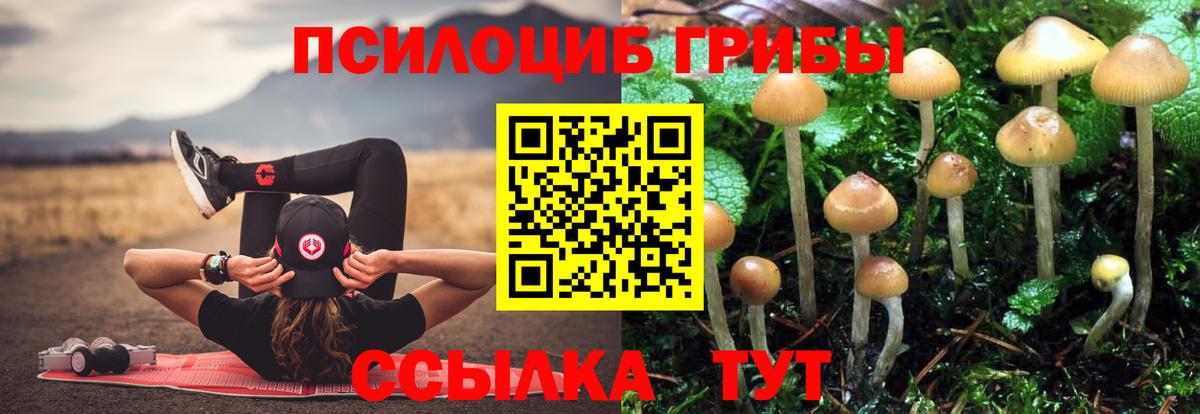 Галлюциногенные грибы мицелий Советский
